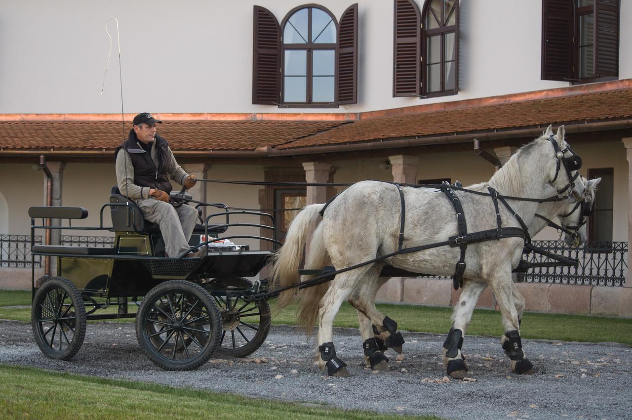 Castle Hotel Daniel Baraolt Экстерьер фото